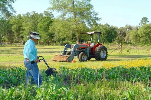 園藝療法在農業、養老與養生中的多元應用及其對谷物種植的積極影響