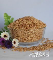 秋季養生正當時 八種谷物食品，吃出健康與美麗